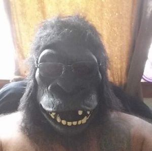 Meet your Posher, Dave